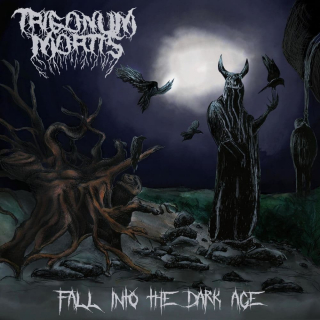 TRIGONUM MORTIS Fall into the Dark Age